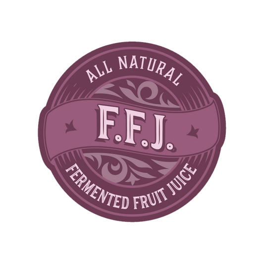 FFJ - Fermented Fruit Juice